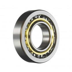 ZVL 6208 MA-P6 guolis