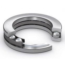 ZVL 51407 guolis
