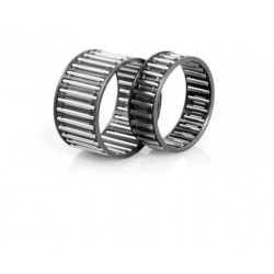 INA K 20x28x20 C/0-7 guolis
