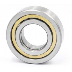 FAG NUP2216 E-XL-M1 guolis