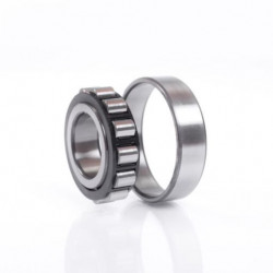 NSK N306 ETC3 guolis