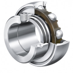 INA GRA 100 NPP-B-AS2/V guolis