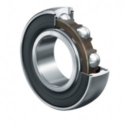 INA G207-NPP-B-AH05 bearing
