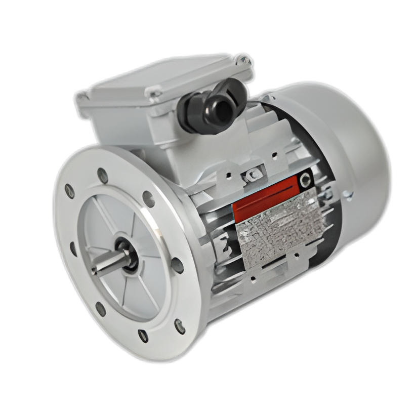 Electric Motors